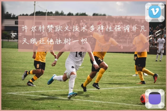 许尔特赞欧文技术多样性强调非凡天赋让他独树一帜