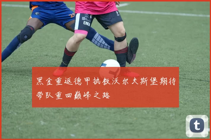 黑金重返德甲执教沃尔夫斯堡期待带队重回巅峰之路